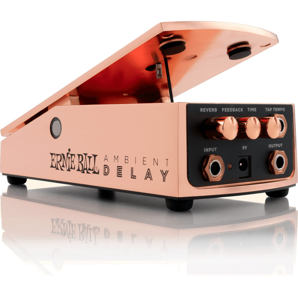 ERNIE BALL Eb 6184 Ambient Delay