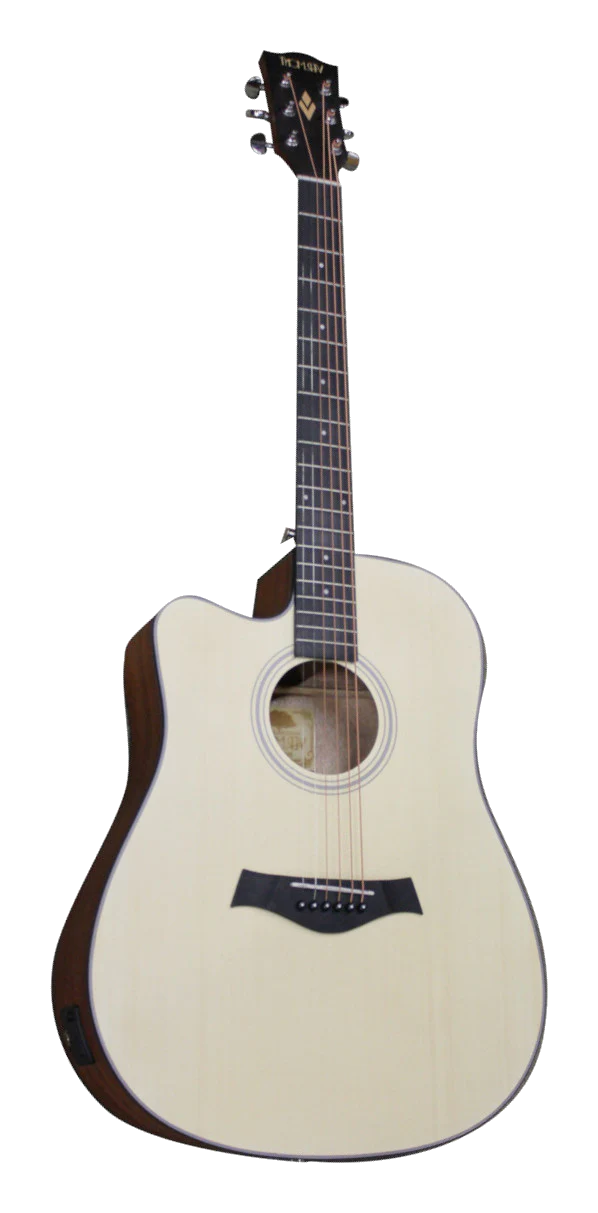 Vermont D100CE chitarra acusrica mancina