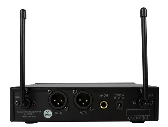 Eikon by Proel radiomicrofono palmare doppio WM101DMV2 frequenza 863-865MHz