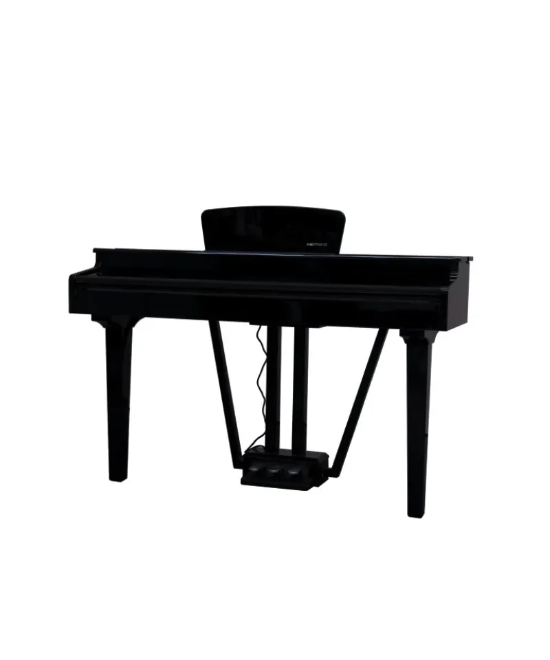 ECHORD GP10 NERO LUCIDO PIANOFORTE DIGITALE codino