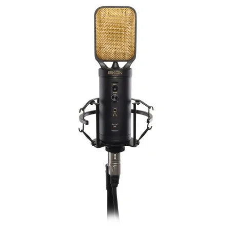 EIKON CM14USB è un microfono a condensatore cardioide