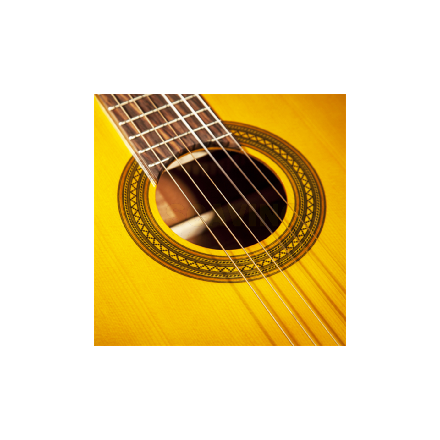 Takamine GC1CE-NAT Chitarra Classica ELETTRIFICATA G SERIES